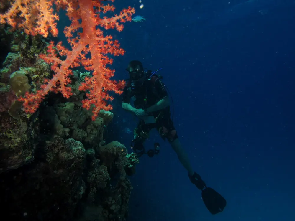 Bautizo de buceo con instructor — Azul Profundo Dive