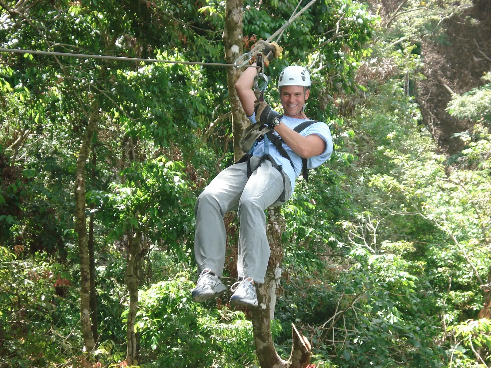 Canopy de 12 cables + puente colgante — Selva Alta Canopy